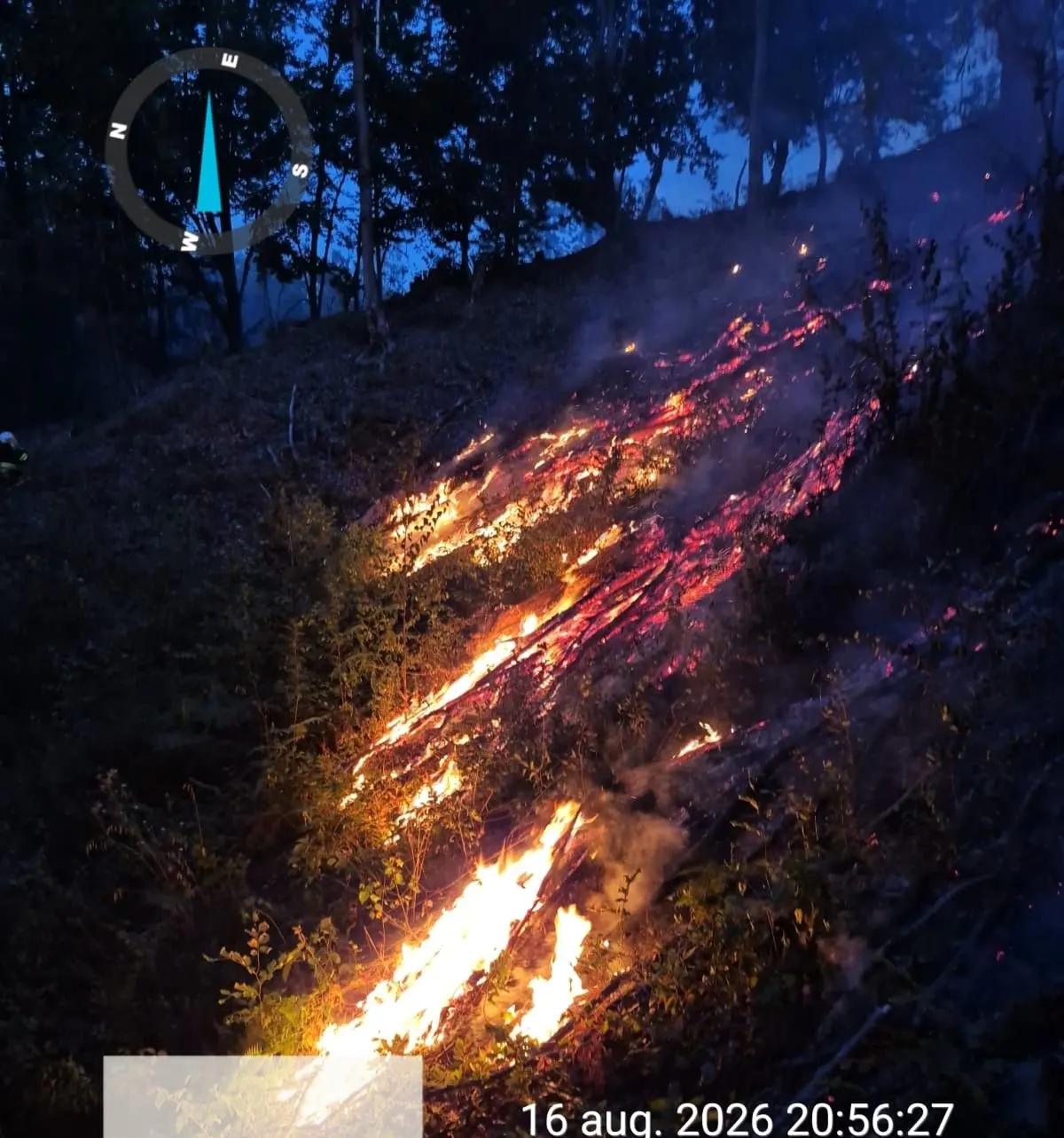 Peste 300 de hectare de vegetație, arse în Timiș. Cele mai multe focare, în zona Făgetului