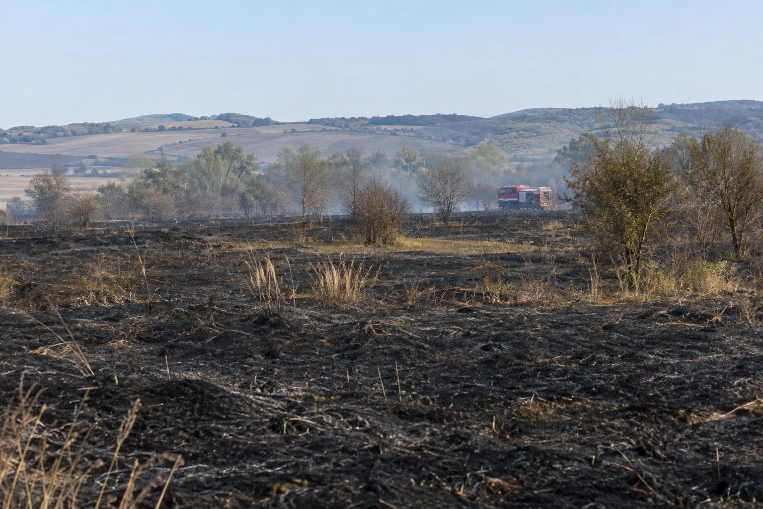 Timiș: peste 95 ha vegetație arse în weekend — Breazova 60 ha, Hezeriș 14 ha